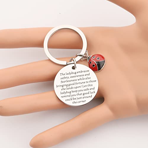 ENSIANTH Ladybug Keychian Good Luck Ladybug Keychain Insect Lover Gift Animal Researchers Jewelry Beetle Ladybug Gift Best Friend Gift (Ladybug Key)