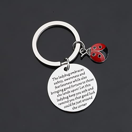 ENSIANTH Ladybug Keychian Good Luck Ladybug Keychain Insect Lover Gift Animal Researchers Jewelry Beetle Ladybug Gift Best Friend Gift (Ladybug Key)