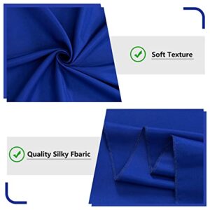 10ft x 10ft Royal Blue Backdrop Curtains for Party Stage Wedding Ceremony Light Filtering Curtains Photography Backdrop for Baby Showers Rod Pocket Home Sliding Door Decoration, 5ft x 10ft, 2 Panels