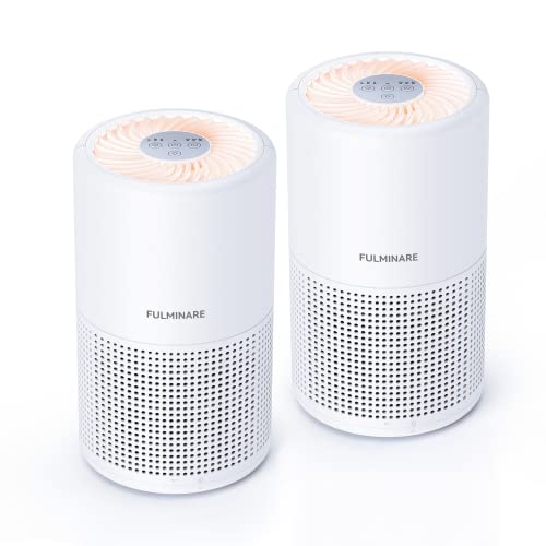 Air Purifiers for Bedroom, FULMINARE H13 Small Air Purifiers for Home Pets with HEPA Air Filter, Quiet Air Cleaner With Night Light, Remove 99.97% 0.01 Microns Dust, Smoke, Pollen