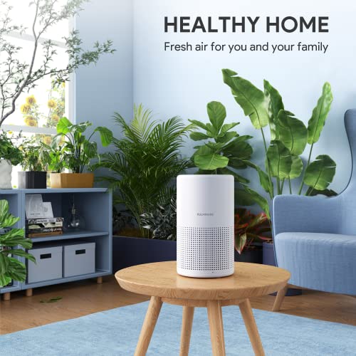 Air Purifiers for Bedroom, FULMINARE H13 Small Air Purifiers for Home Pets with HEPA Air Filter, Quiet Air Cleaner With Night Light, Remove 99.97% 0.01 Microns Dust, Smoke, Pollen