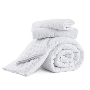 Bedsure Queen Quilt Bedding Set - Soft Ultrasonic Full/Queen Quilt Set - Clover Bedspread Queen Size - Lightweight Bedding Coverlet for All Seasons (Includes 1 White Quilt, 2 Pillow Shams)