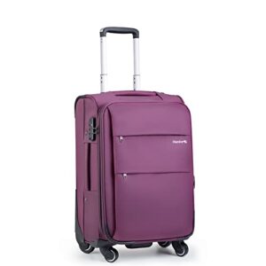 hanke 20" softside expandable carry on luggage with spinner wheels, lightweight upright suitcase with tsa lock,rolling travel luggage for woman man,20-inch(purple)