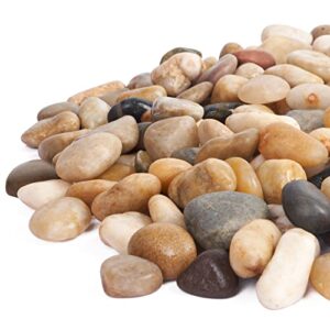 gaspro 5lbs rocks for plants, aquarium, fish tank, 3/4-1 1/2 inch, decorative stones for planters, vase