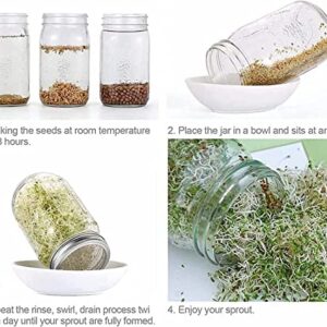 Mason Jar Regular Mouth Shaker Lids 316 Stainless Steel Wide Mouth Sprouting Lids Screen Mesh Strainer Lid for Salad Sprouts Alfalfa Broccoli Seeds Sprouter Kit