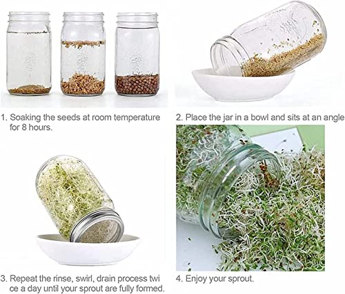 Mason Jar Regular Mouth Shaker Lids 316 Stainless Steel Wide Mouth Sprouting Lids Screen Mesh Strainer Lid for Salad Sprouts Alfalfa Broccoli Seeds Sprouter Kit