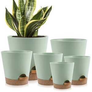 ynnico indoor self watering planters with drainage holes and saucers, 8, 7, 6.5, 6, 5.5, 5 inches, green, 6 pots