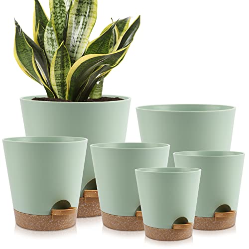 YNNICO Indoor Self Watering Planters with Drainage Holes and Saucers, 8, 7, 6.5, 6, 5.5, 5 Inches, Green, 6 Pots