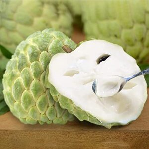 60 pcs sugar apple seeds for planting custard apple, annona squamosa seeds, delicious sweet fruits