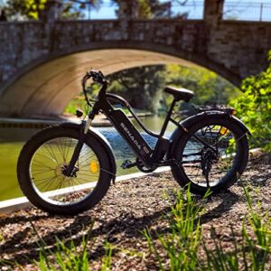 SENADA Electric Bike for Adults, 26" x 4.0 Fat Tire Electric Bikes, 1000W 48V 21Ah Ebike, 30MPH Snow Beach Electric Bicycle with Removable Battery, 7 Speed