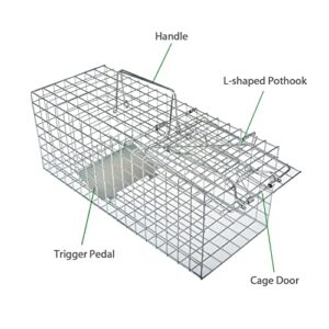 Anyhall Live Animal Cage Trap for Squirrels