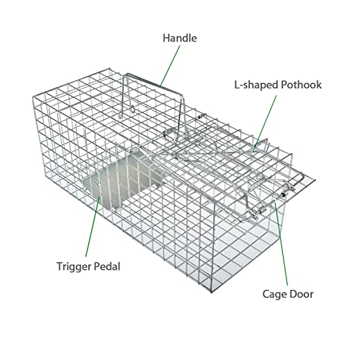 Anyhall Live Animal Cage Trap for Squirrels