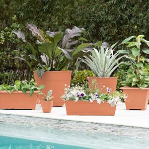 Bloem Dayton Planter with Saucer: 16" - Coral - 100% Recycled Plastic Pot, Removable Saucer, Elevated Feet, for Indoor and Outdoor Use, Gardening, 8.5 Gallon Capacity