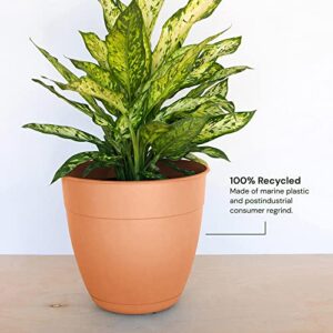 Bloem Dayton Planter with Saucer: 16" - Coral - 100% Recycled Plastic Pot, Removable Saucer, Elevated Feet, for Indoor and Outdoor Use, Gardening, 8.5 Gallon Capacity