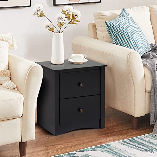 Elesuli Nightstand Sofa Side End Table with 2 Drawers Accent Table for Living Room Bedroom, Black