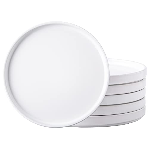 AmorArc Ceramic Plates Set of 6, Matte Glaze 8.0 Inch Dishes Set for Kitchen, Dessert,Salad,Appetizer, Small Dinner Plates, Microwave & Dishwasher Safe, Scratch Resistant, Matte White