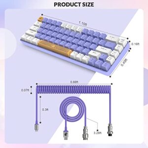 ZIYOU LANG RK-T8 Wired 65% Mechanical Gaming Keyboard with RGB LED Backlit Anti-ghosting TKL Mini 68 Key Custom Coiled C to A Cable Tactile Blue Switch for PS4 PS5 Xbox PC Mac Gamer(White Purple)