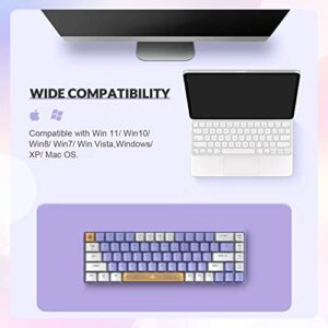 ZIYOU LANG RK-T8 Wired 65% Mechanical Gaming Keyboard with RGB LED Backlit Anti-ghosting TKL Mini 68 Key Custom Coiled C to A Cable Tactile Blue Switch for PS4 PS5 Xbox PC Mac Gamer(White Purple)