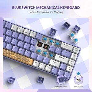 ZIYOU LANG RK-T8 Wired 65% Mechanical Gaming Keyboard with RGB LED Backlit Anti-ghosting TKL Mini 68 Key Custom Coiled C to A Cable Tactile Blue Switch for PS4 PS5 Xbox PC Mac Gamer(White Purple)