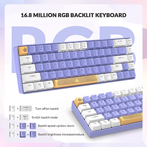 ZIYOU LANG RK-T8 Wired 65% Mechanical Gaming Keyboard with RGB LED Backlit Anti-ghosting TKL Mini 68 Key Custom Coiled C to A Cable Tactile Blue Switch for PS4 PS5 Xbox PC Mac Gamer(White Purple)