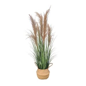 ecoforest 47" (4ft,1pack) pampas grass potted plants - artificial faux plants featuring tall grass, fake grass - perfect home decor for plant room decoration or as floor plants.