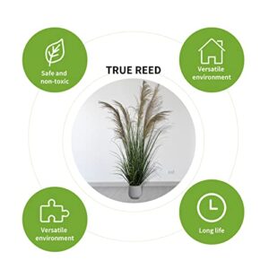 ECOFOREST 47" (4ft,1pack) Pampas Grass Potted Plants - Artificial Faux Plants Featuring Tall Grass, Fake Grass - Perfect Home Decor for Plant Room Decoration or As Floor Plants.