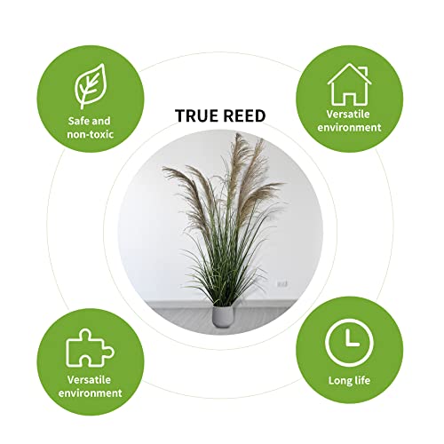 ECOFOREST 47" (4ft,1pack) Pampas Grass Potted Plants - Artificial Faux Plants Featuring Tall Grass, Fake Grass - Perfect Home Decor for Plant Room Decoration or As Floor Plants.