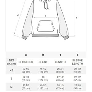 Aelfric Eden Men’s Novelty Cartoon Graphic Hoodies Streetwear Hooded Sweatshirt Pullover Hip Hop Fashion Hoodies Unisex