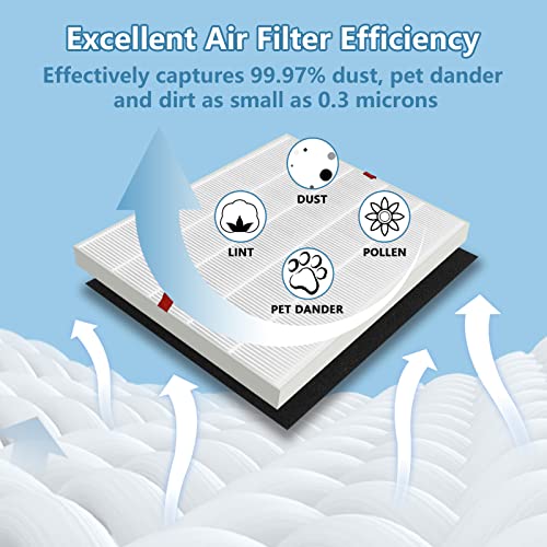 C545 Replacement Filter S Fit for Win-ix C545 Air Puri-fier, 2 Pack H13 Ture HEPA Filter and 8 Pack Activated Carbon Filters, Replace Part # 1712-0096-00 and 2522-0058-00