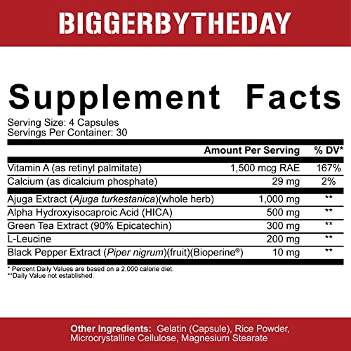 5% Nutrition Rich Piana BiggerByTheDay | Anabolic Muscle Builder, Hardcore Mass Gainer | Turkesterone, HICA, Epicatechin, Leucine | 120 Capsules (30 Servings)