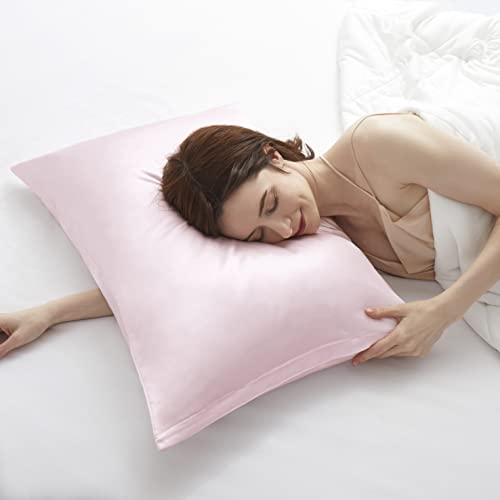 HommxJF Satin Pillowcases with Zipper （20x26）,Standard Size Pillowcases Set of 2, Blush Pink Silk Pillowcase for Hair and Skin