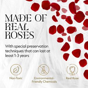 GLAMOUR BOUTIQUE Forever Flower Gift Box: 12 Real Preserved Roses in Round Velvet White Box, Handmade, Rose Petals, Birthday, Marriage,Anniversary, Graduation - Red