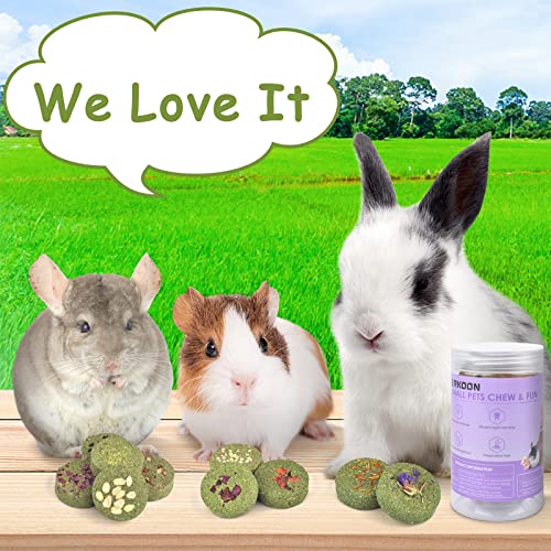 ERKOON 100% Edible Premium Timothy Hay Chew A Blocks for Rabbits, Chinchilla Treats, Chew Toys for Teeth Guinea Pigs and Mice