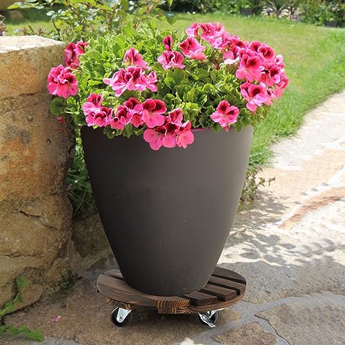 Silkchio Plant Caddy with Wheels, 2 Pack Rolling Plant Stand 12 Inch, 5 Lockable Wheels Heavy Duty Round Plant Dolly for Indoor Outdoor, Wooden Plant Roller Base, Potted Plant Mover, Trash Can Dolly