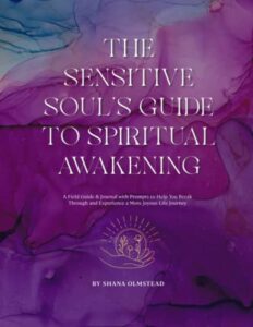 the sensitive soul's guide to spiritual awakening: a field guide & journal with prompts to help you break through and experience a more joyous life journey
