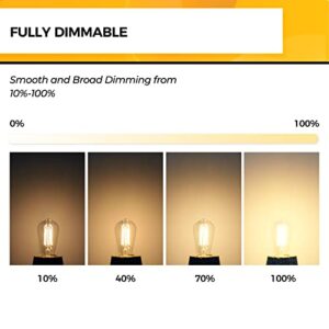 Hizashi Dimmable Edison Bulbs 60 Watt LED, E26 Bulb 2700K Warm White ST19 Vintage Light Bulbs, 95+CRI, UL Listed,700LM 6W E26 Medium Base, Clear Glass, Pack of 4