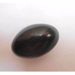 SynSpiritStore Original Shaligram/Shalagram Shila Stone (Approx. 2 Inch) for Lord Vishnu Pooja and Tulsi Pooja, Nepal Gandaki River Stone