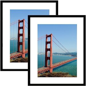 pealsn 16x20 picture frame set of 2, poster frames for wall decor, display pictures 11 x 14 with mat or 16 x 20 without mat for wall mounting display, black.