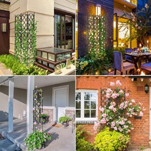 Garden Trellis for Climbing Plants Outdoor, deaunbr Tomato Cage Plant Support Garden Obelisk Trellises Cages for Vines, Flowers, Indoor Potted Plants, Rose, Clematis, Cucumber Pea, Bean, Grape