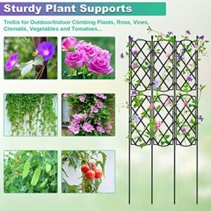 Garden Trellis for Climbing Plants Outdoor, deaunbr Tomato Cage Plant Support Garden Obelisk Trellises Cages for Vines, Flowers, Indoor Potted Plants, Rose, Clematis, Cucumber Pea, Bean, Grape