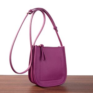 Montana West Small Crossbody Shoulder Bag for Women Mini Classic Satchel Handbags Lightweight Bucket Purse,MWC-077PP