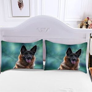 Quilt Cover Twin Size German Shepherd 3D Bedding Sets Shepherd Dog Duvet Cover Breathable Hypoallergenic Stain Wrinkle Resistant Microfiber with Zipper Closure,beding Set with 2 Pillowcase