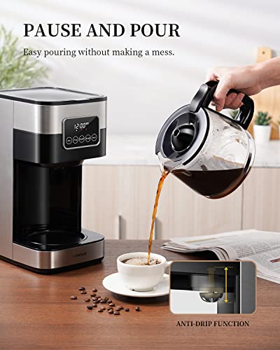 KIDISLE Programmable Coffee Maker, 10-Cup Drip Coffee Machine with Touch Screen, Glass Carafe, Reusable Filter, Warming Plate, Regular & Strong Brew for Home and Office, Black