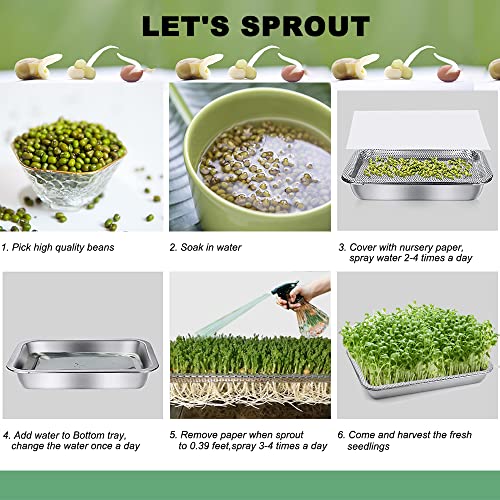 GOLOMOZ Sprouting Tray Rectangle Stainless Steel Seed Germination Tray Kit Fresh Organic Bean Sprout Grower Kit with Base Set for Beans Broccoli Sprout Alfalfa Seeds Wheat Grass Growing Kit-Small