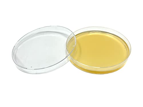Olympus Myco Sorghum Yeast Extract Agar Plates for Mushroom Cultivation and Science Experiments (10 Sterile Pre-Poured Agar Plates)