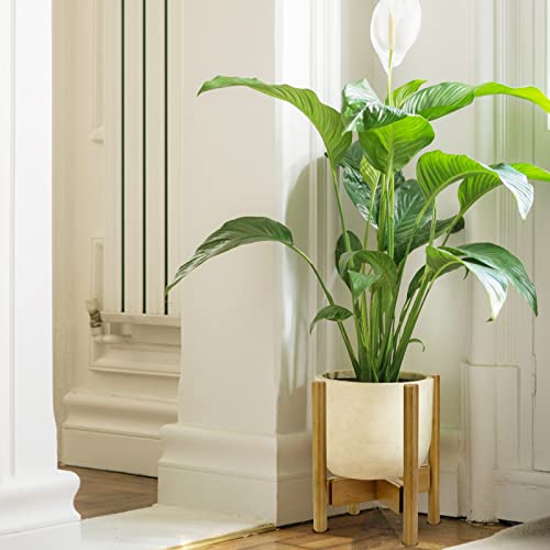 Blvornl 1 Pack Adjustable Plant Stand Indoor, 11.8 in Mid Century Plant Holder, Stable Bamboo Plant Stand for 7-11in Flower Potts (Excluding Potted Plants)