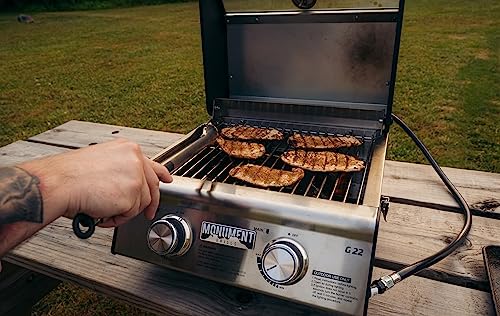 Portable Propane Gas Grill 2-Burner Tabletop Clearview Monument Grills for Outdoor Camping Cooking, Two 15,000 BTU Burners, Stainless Steel, and Built-in Thermometer