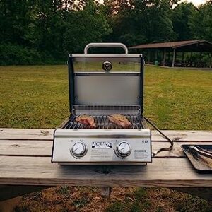 Portable Propane Gas Grill 2-Burner Tabletop Clearview Monument Grills for Outdoor Camping Cooking, Two 15,000 BTU Burners, Stainless Steel, and Built-in Thermometer