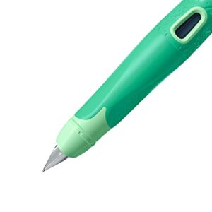 STABILO Ergonomic School Fountain Pen EASYbirdy 3D Wildfile Special Edition - Nib M - Right-Handed - Cartridge Included - Green