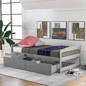 Lifeand Twin Size Daybed with 2 Drawers,Wood Storage Platform Bed for Kids Teens and Adults,No Box Spring Needed,Gray